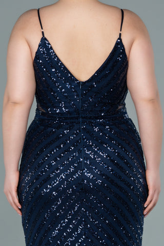 Navy Floor Length Mermaid Plus Size Dress