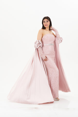 Pink Gown with split sleeves