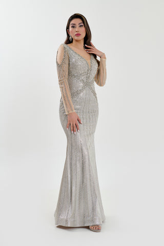 Silver long sleeves gown